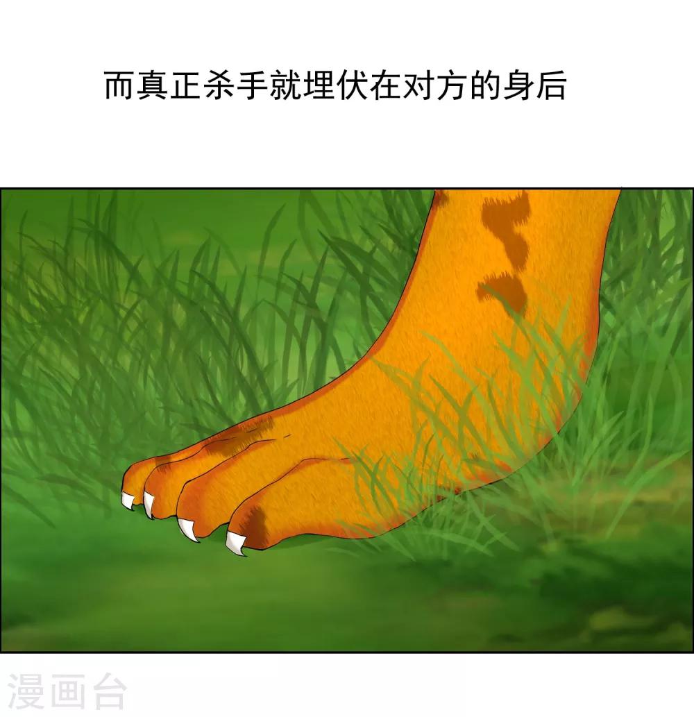 第97话 出线权13