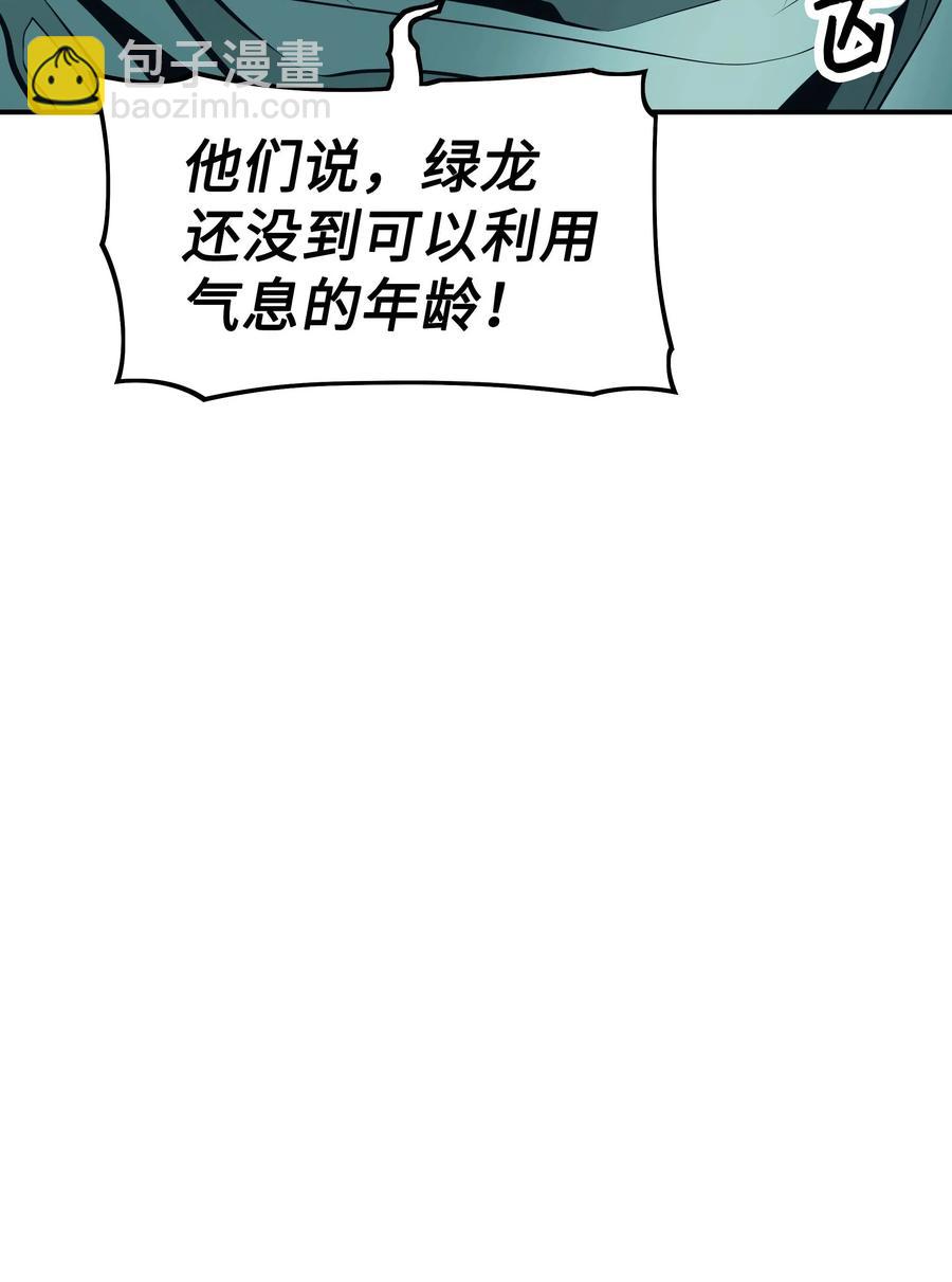 088 绿龙之死16