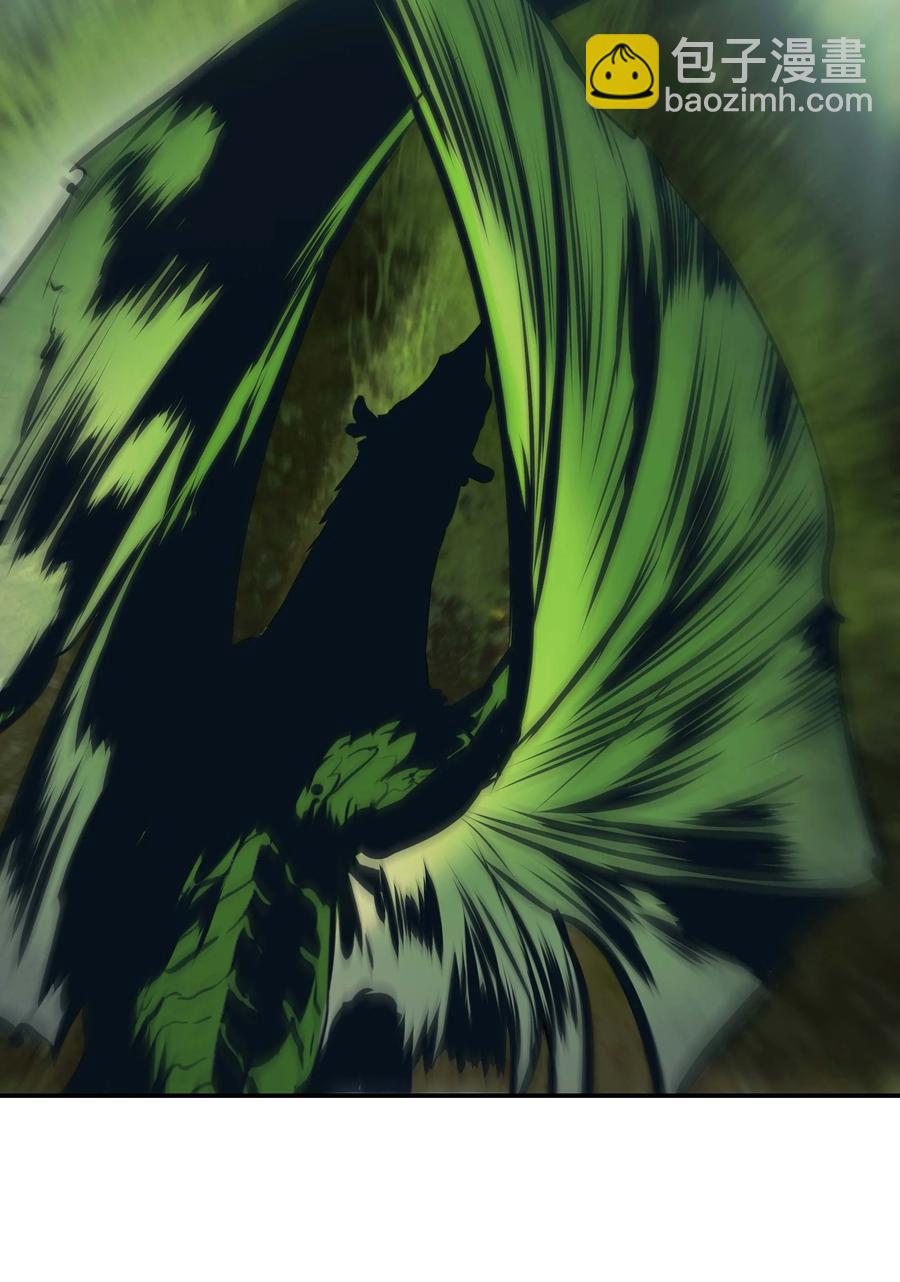 088 绿龙之死72