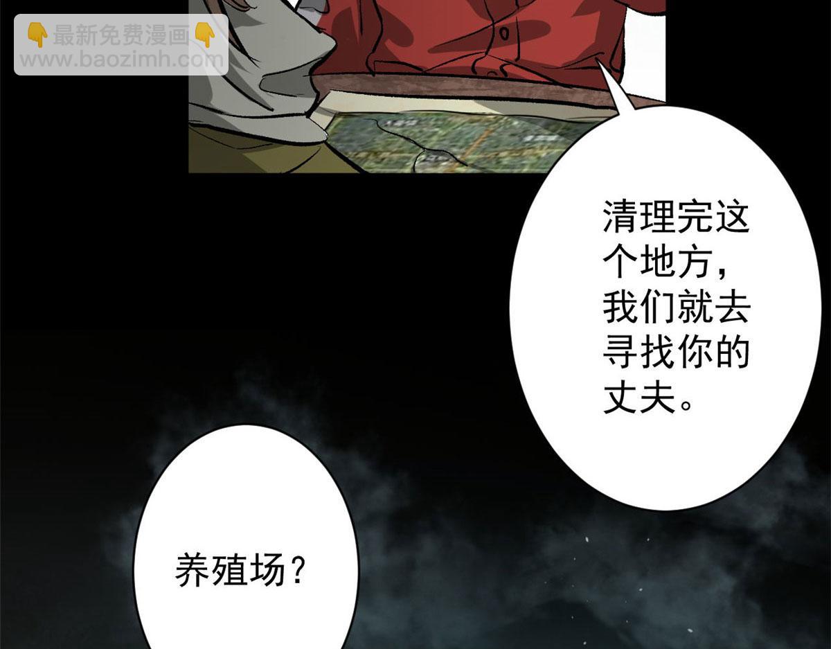 81 猪群105