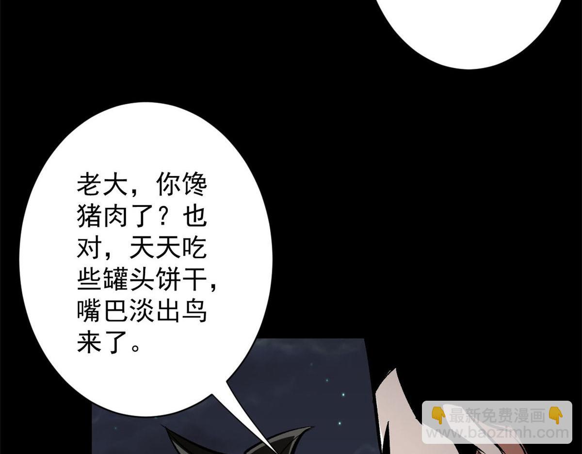 81 猪群109