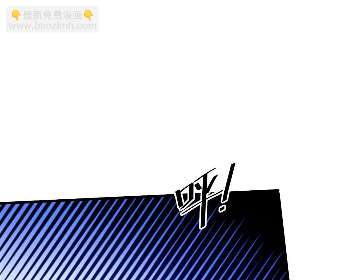 81 猪群11
