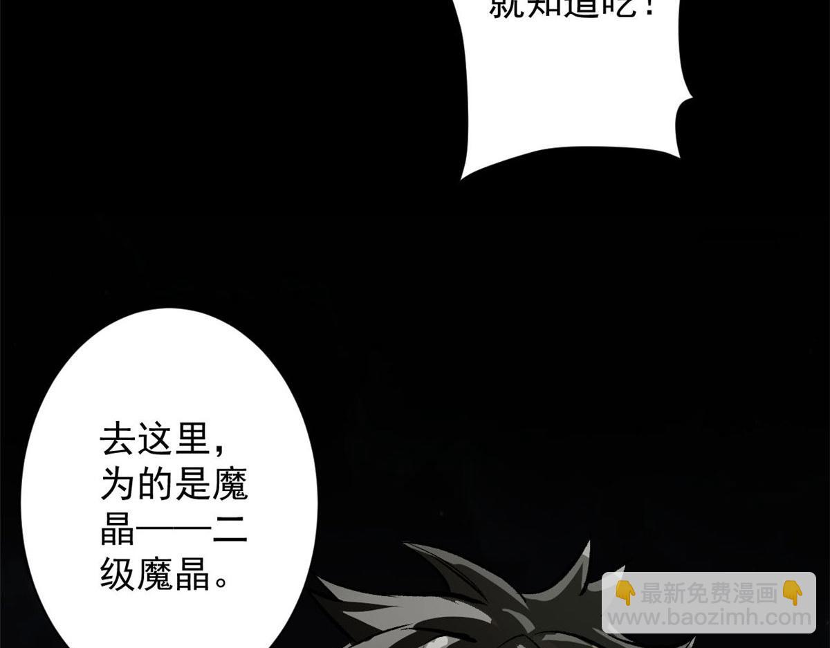 81 猪群112