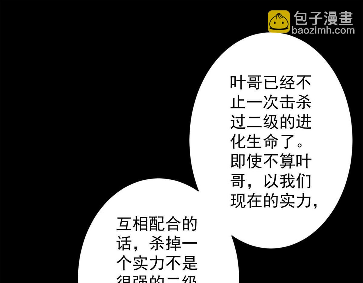 81 猪群117