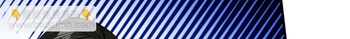 81 猪群12