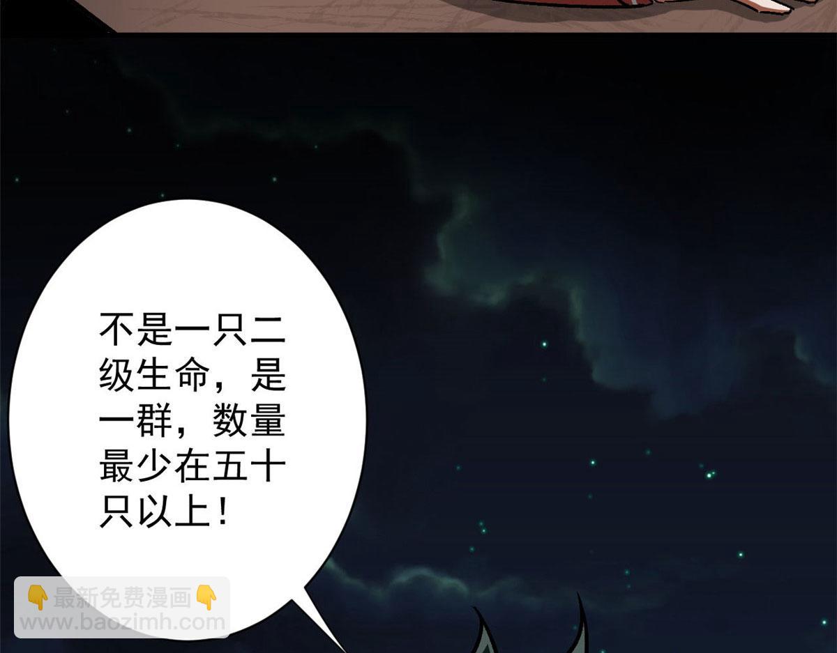 81 猪群120