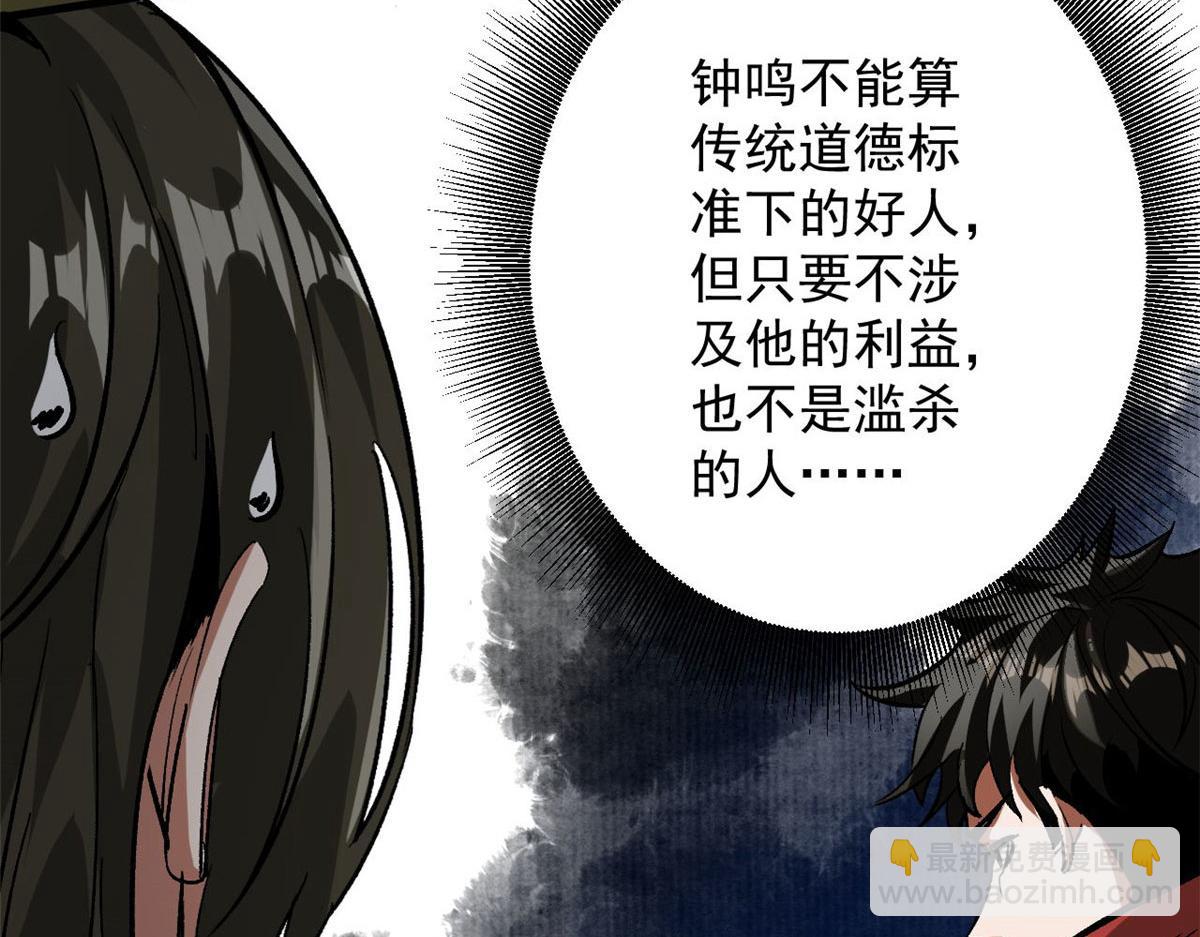 81 猪群14