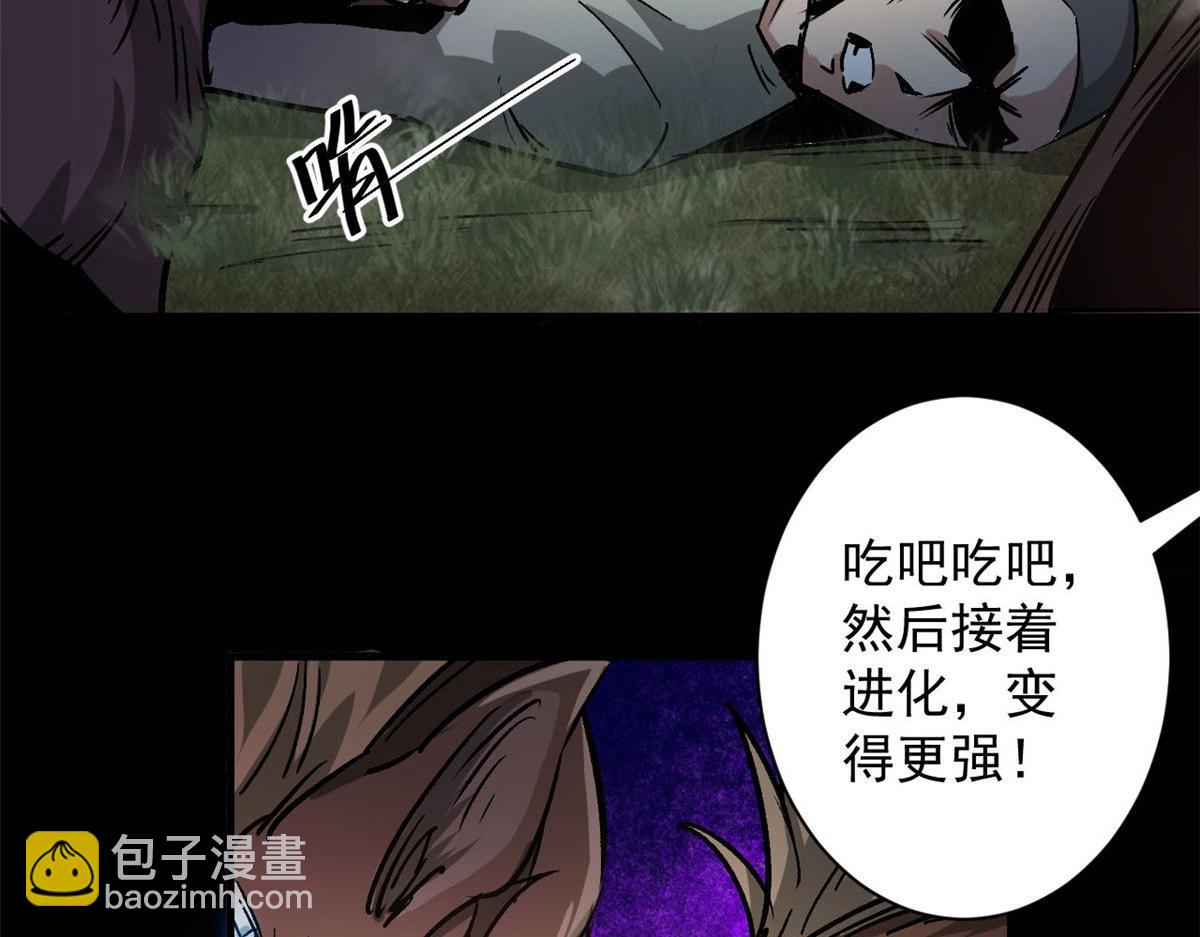 81 猪群142