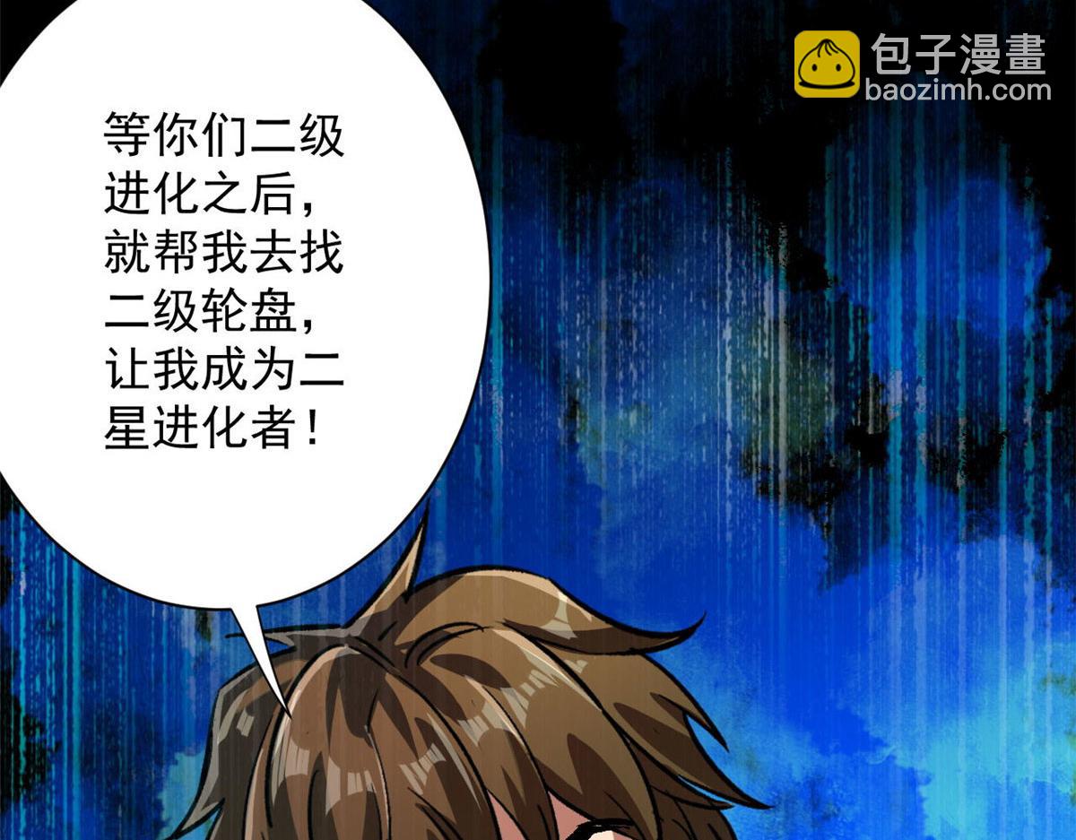 81 猪群145