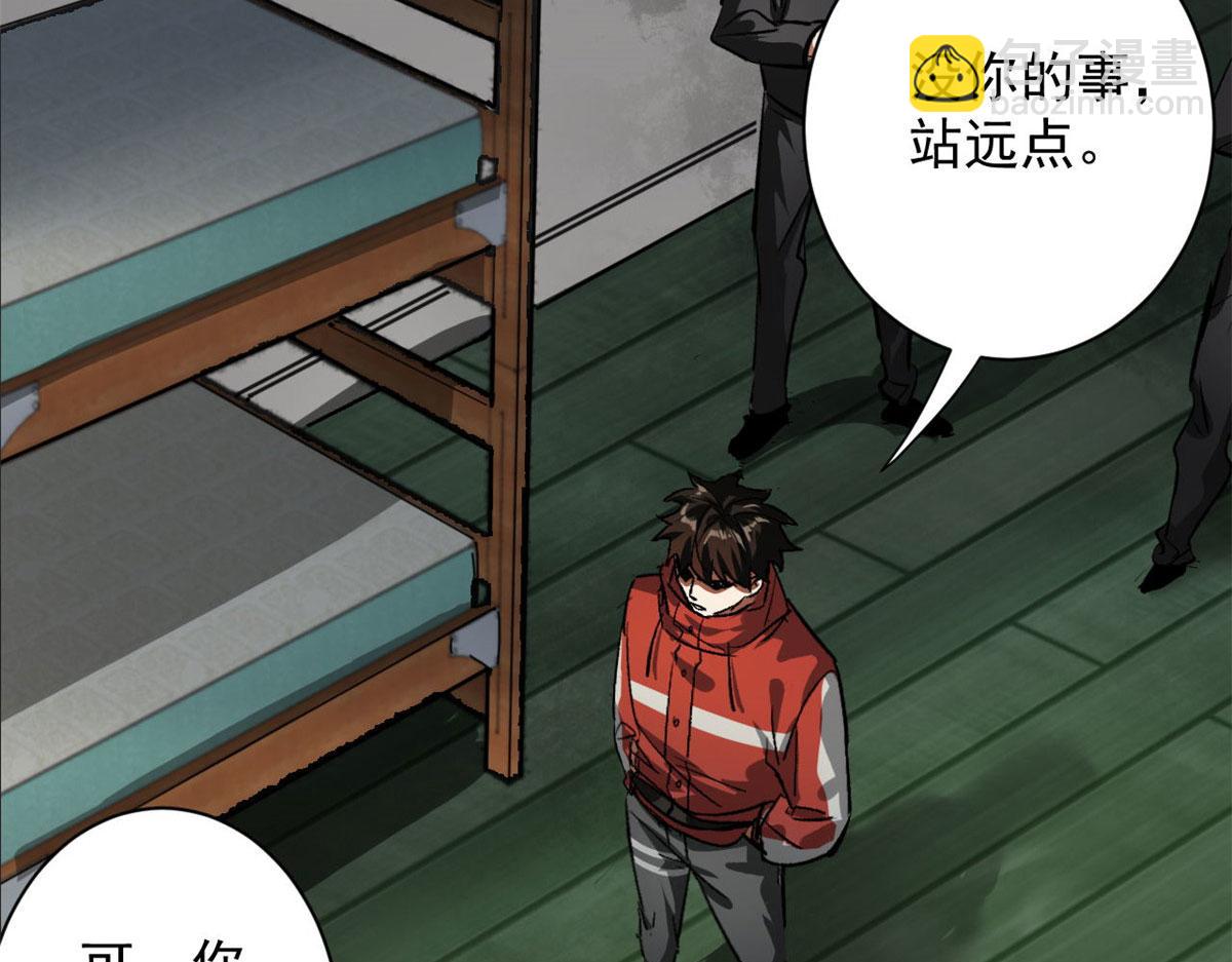 81 猪群28