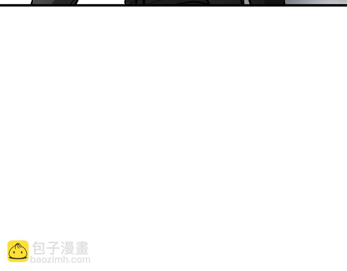 81 猪群35