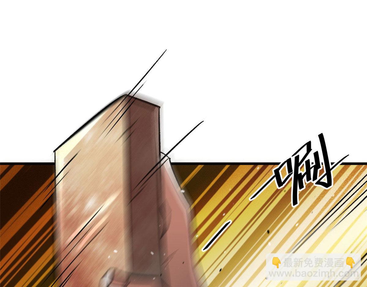 81 猪群4