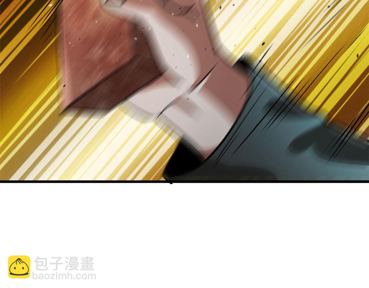 81 猪群5