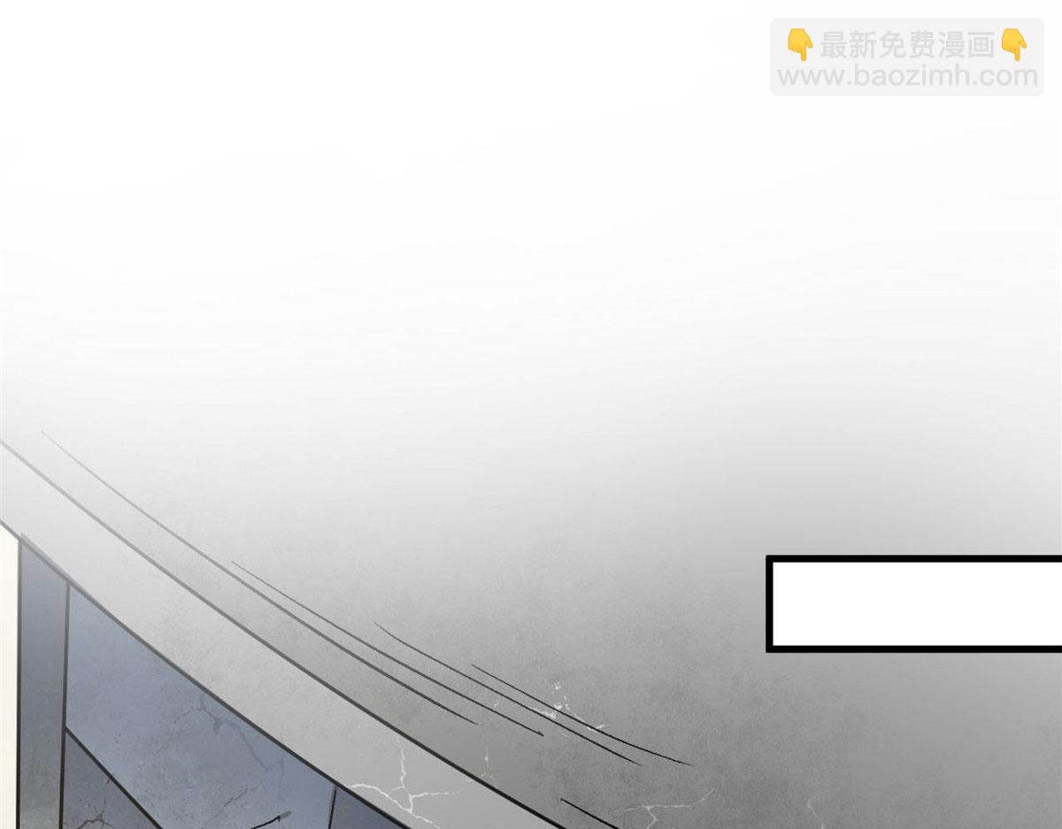 81 猪群50