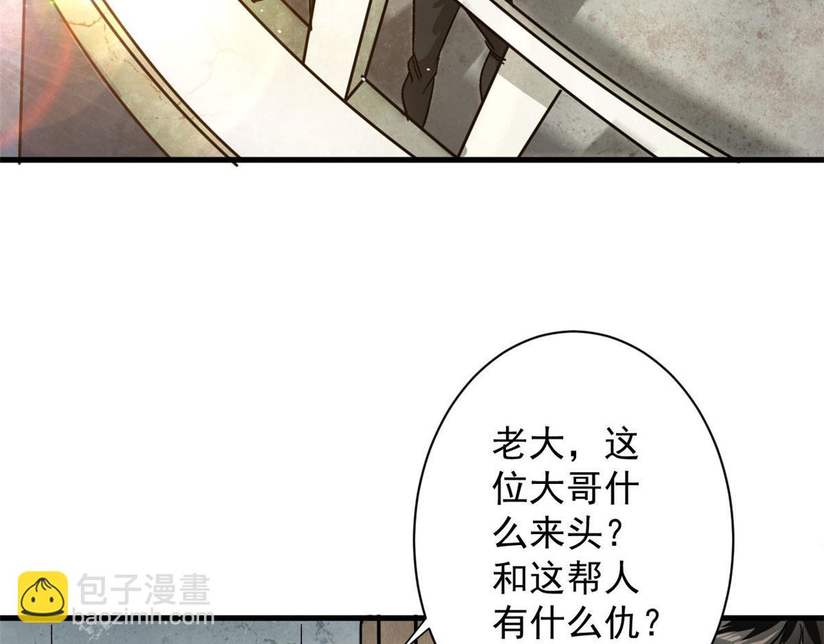 81 猪群53