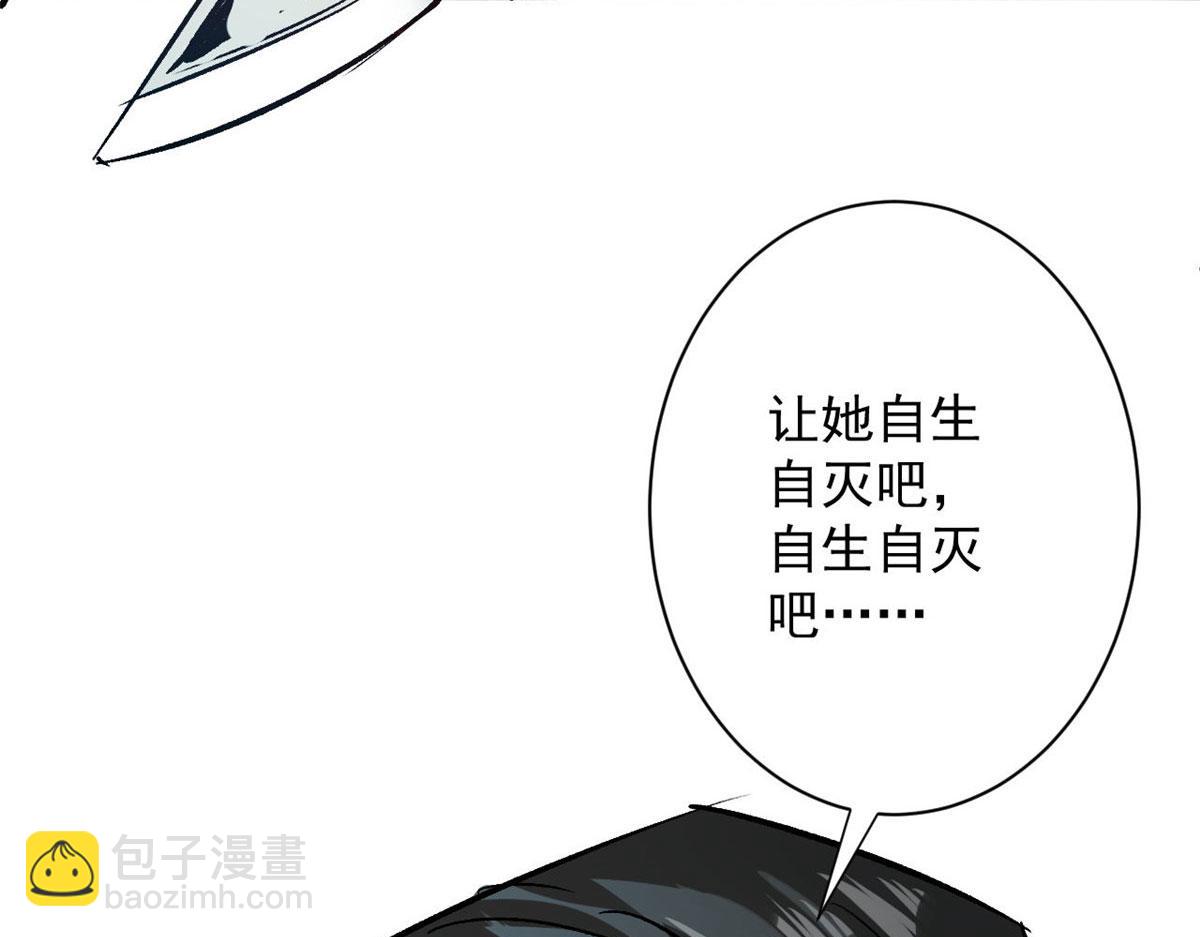 81 猪群65