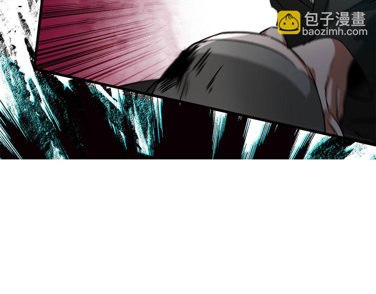 81 猪群8