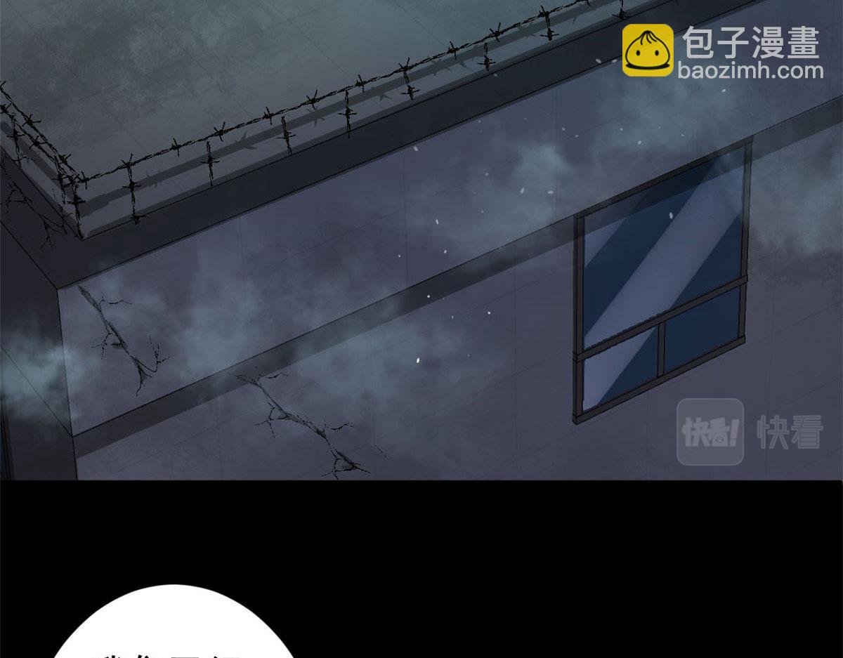 81 猪群98