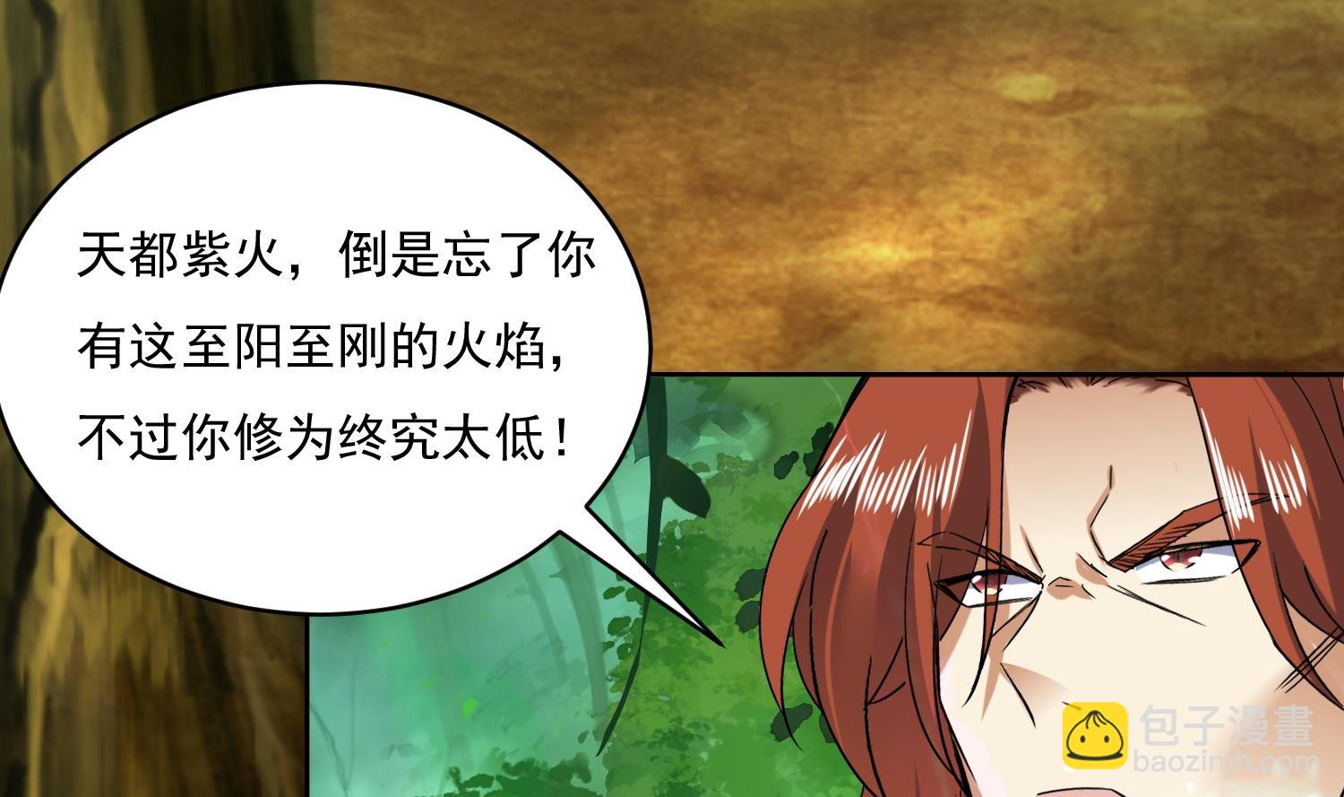 第219话 紫火对蓝火24