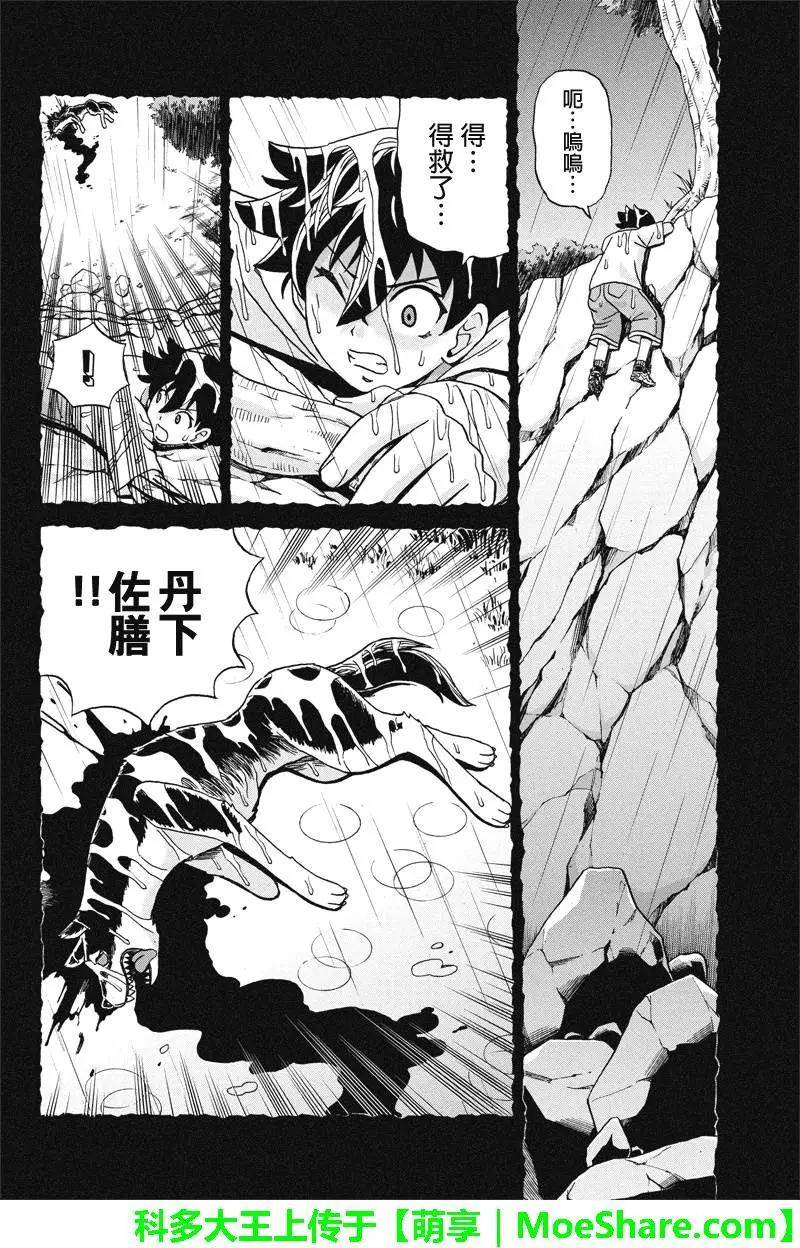 第49回13