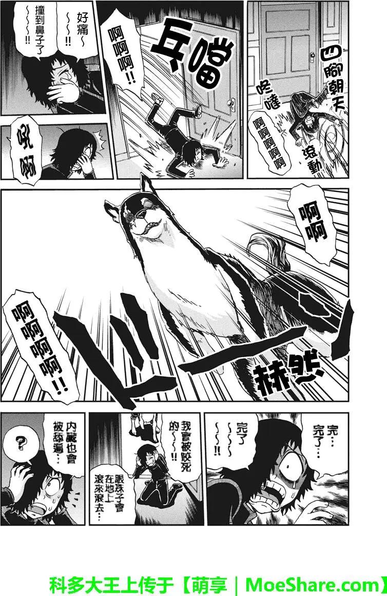 第53回13