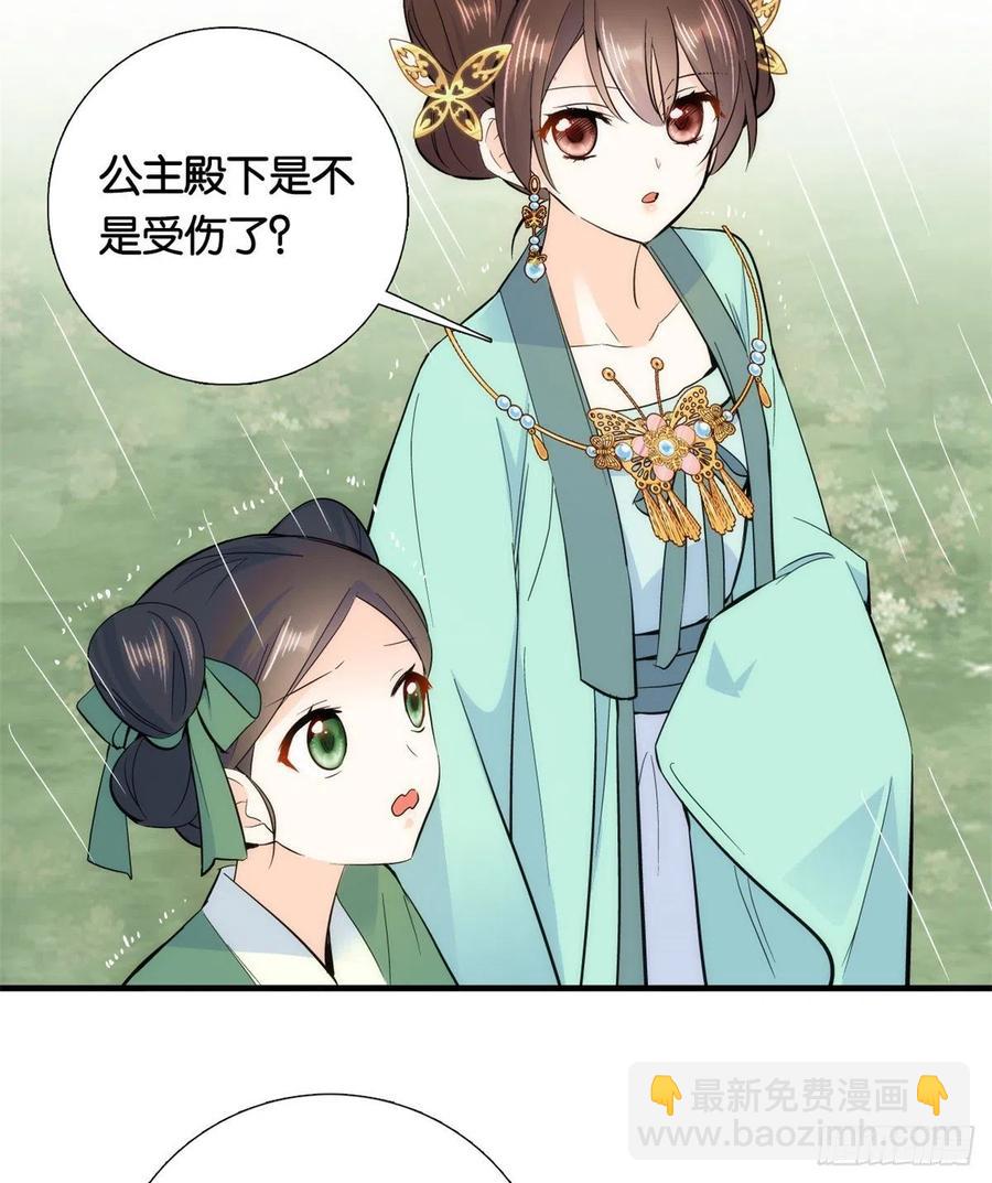 第71话 公主殿下受伤了23