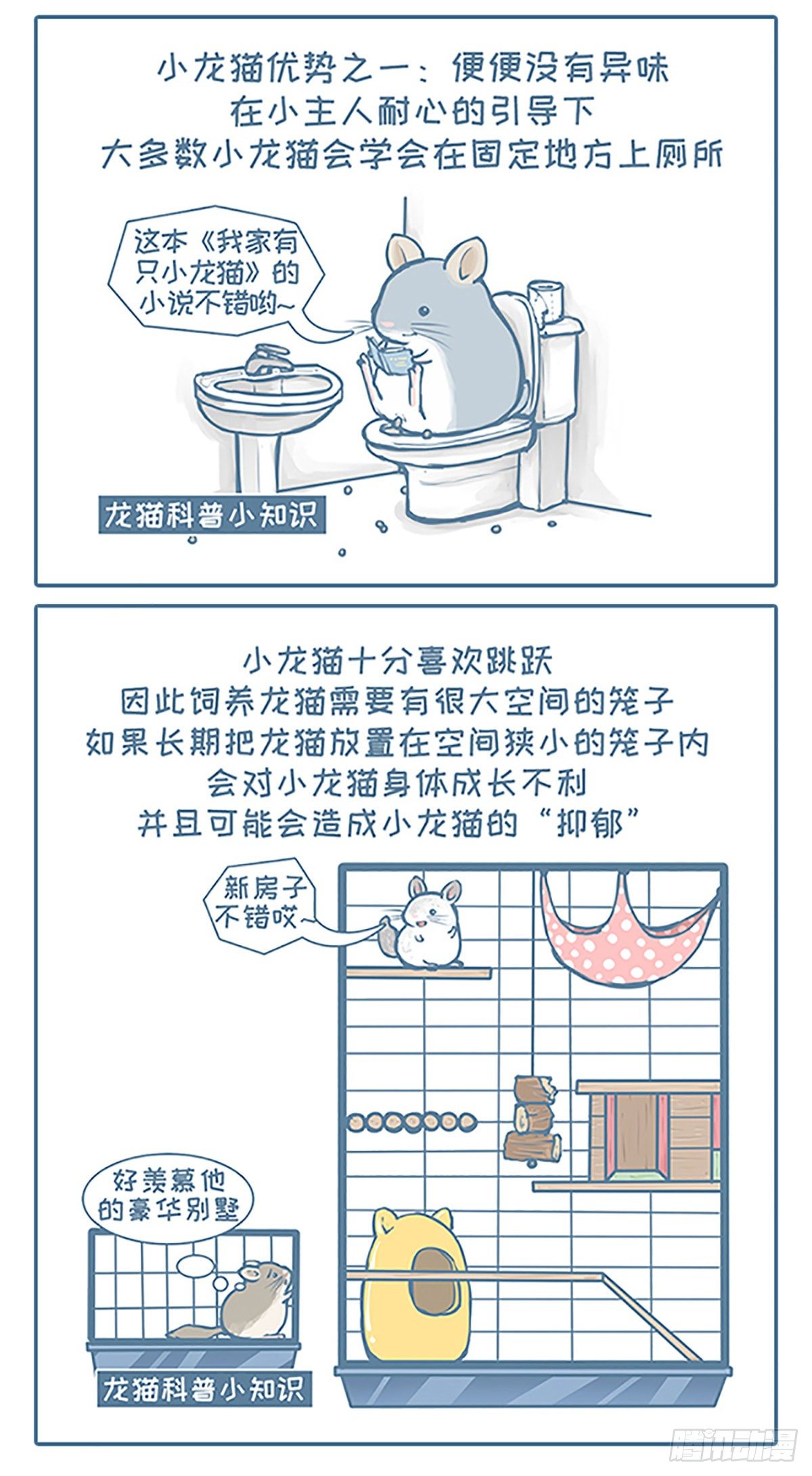 第101个小故事1