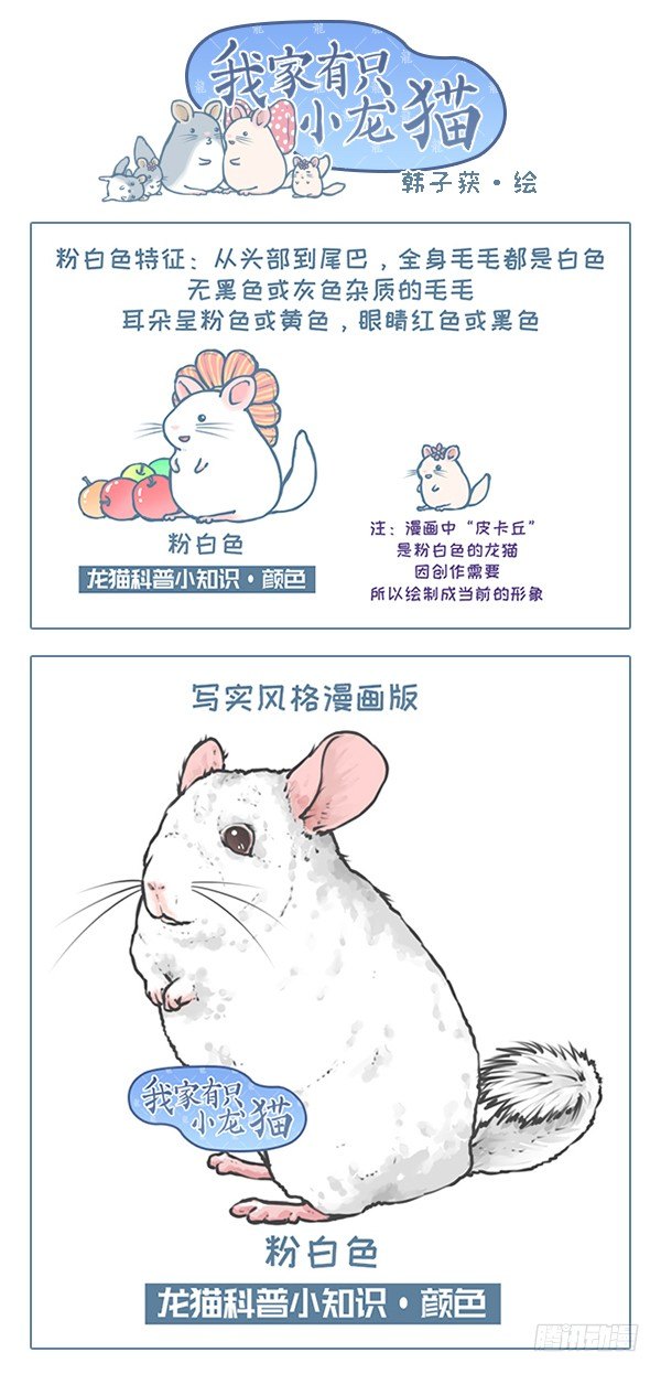 第119个小故事（4）0