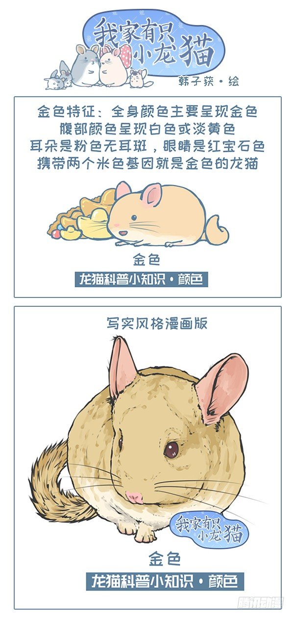 第119个小故事（5）0