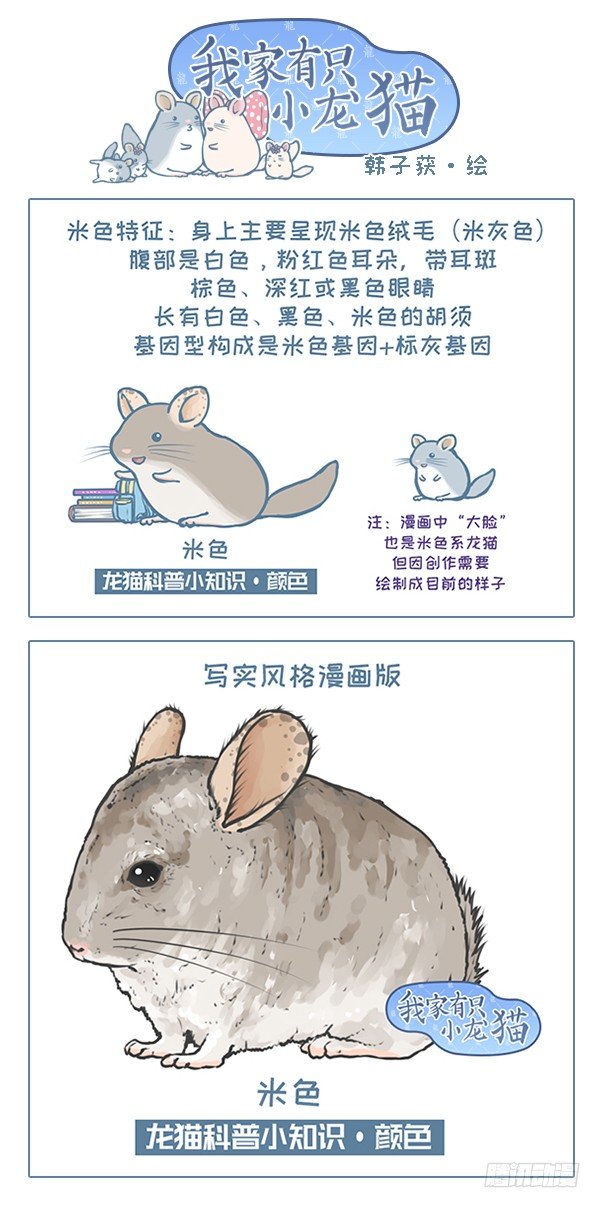 第119个小故事（6）0