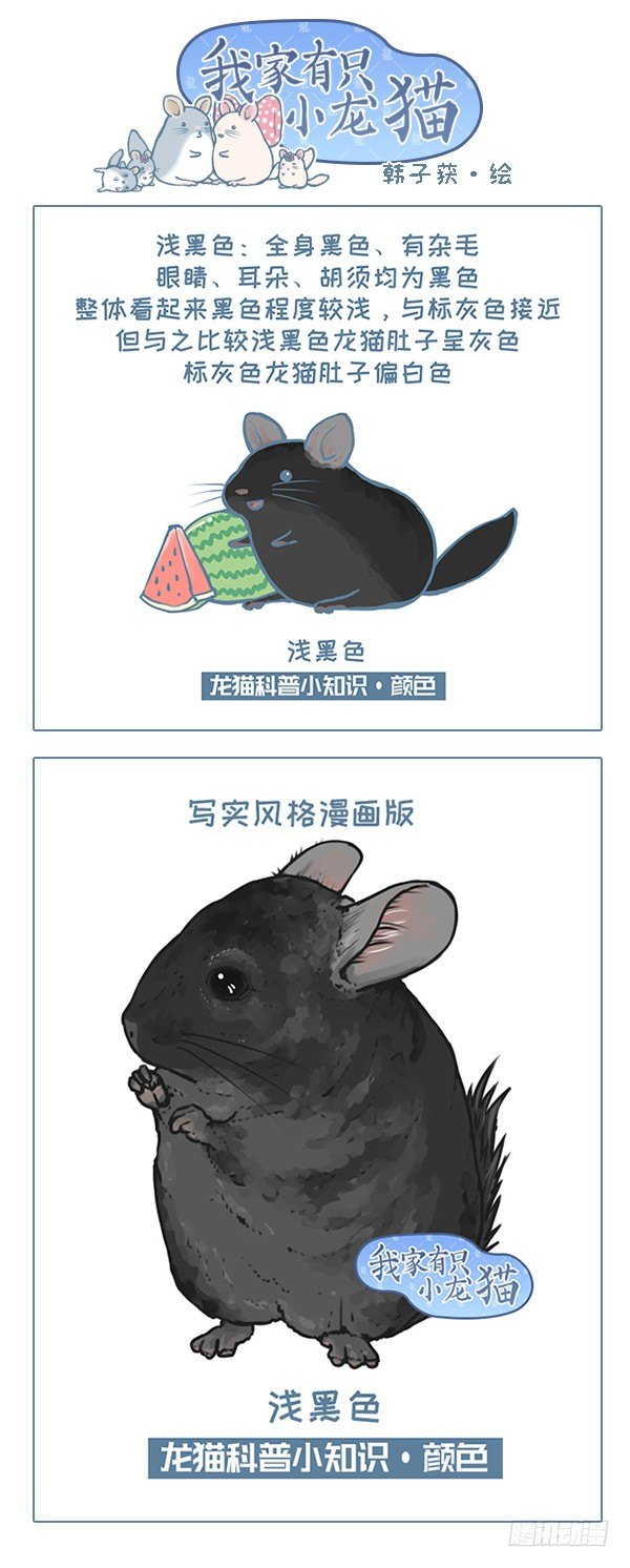第119个小故事（8）0