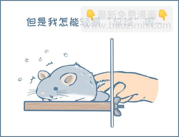 第141个小故事（2）1