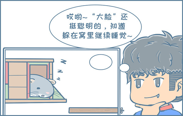 第141个小故事（3）3