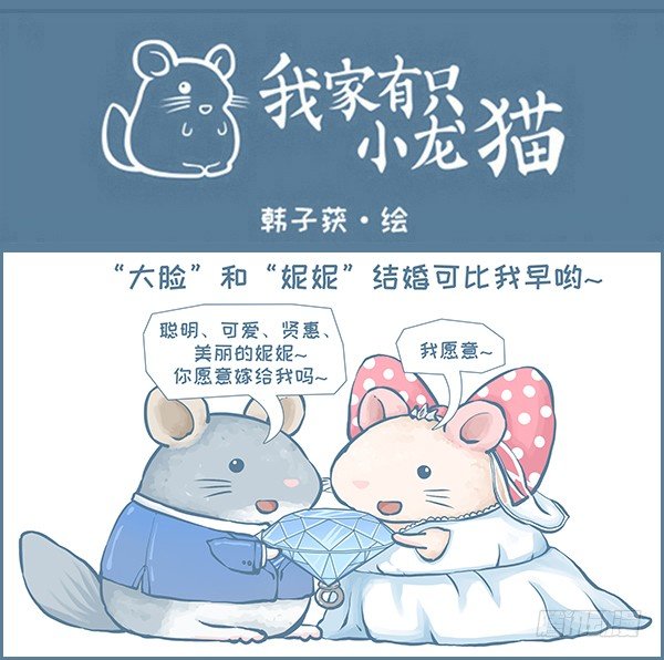 我们结婚啦（上）0