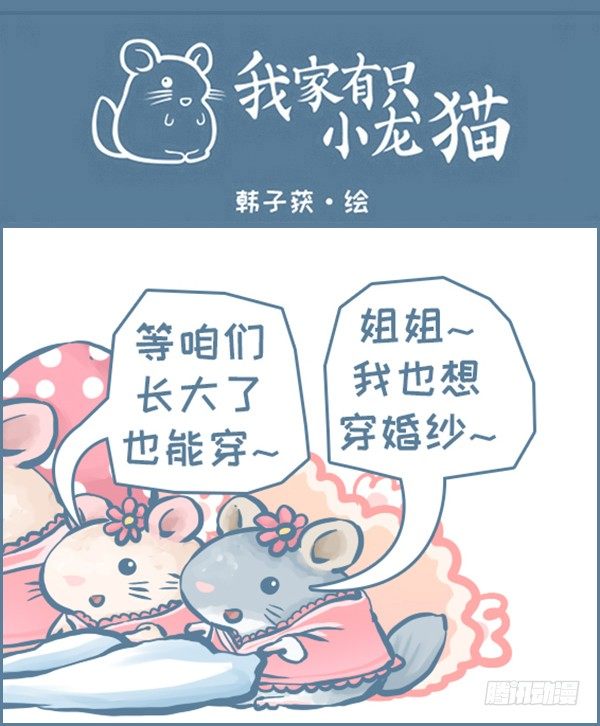 我们结婚啦（下）0
