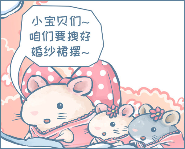 我们结婚啦（下）1