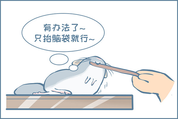 第156个小故事2