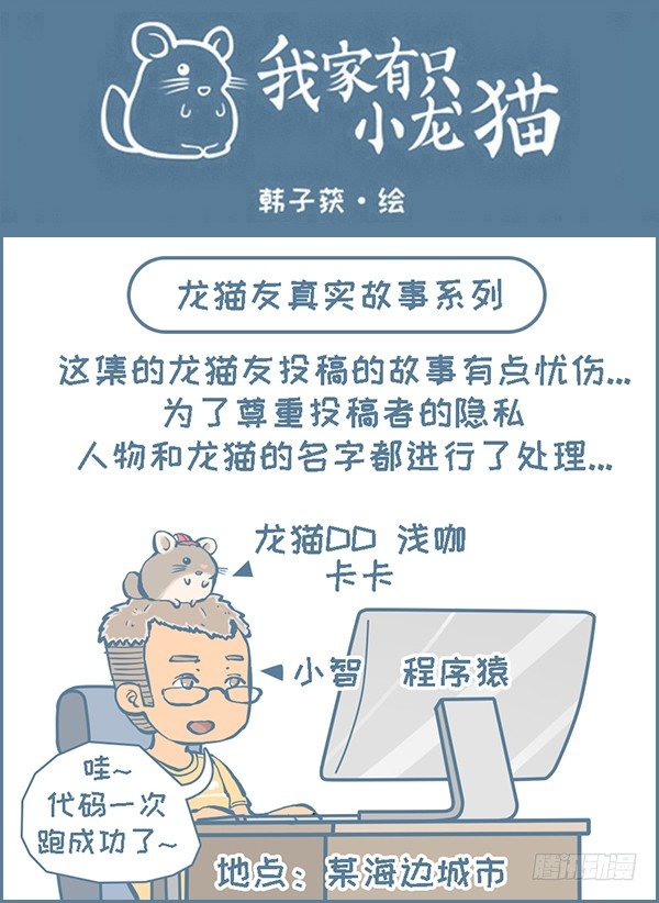 龙猫友的真实故事-20