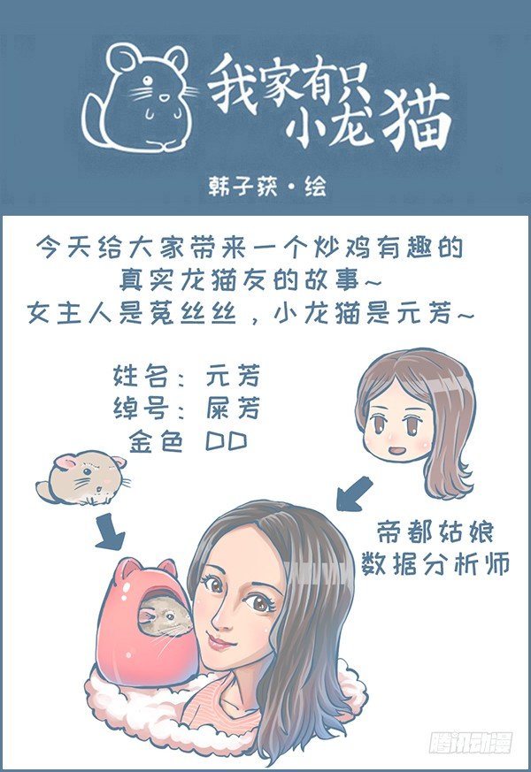 真实的龙猫友故事—菟丝丝（上）0