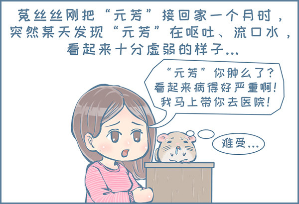 真实的龙猫友故事—菟丝丝（上）1
