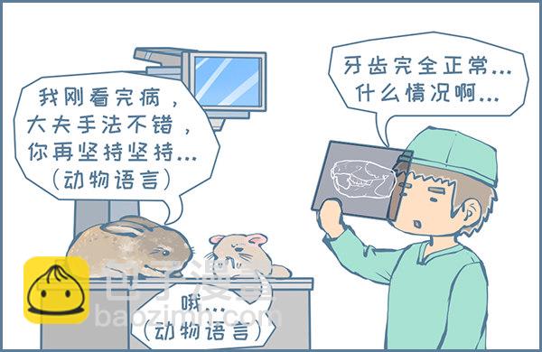 真实的龙猫友故事—菟丝丝（上）3
