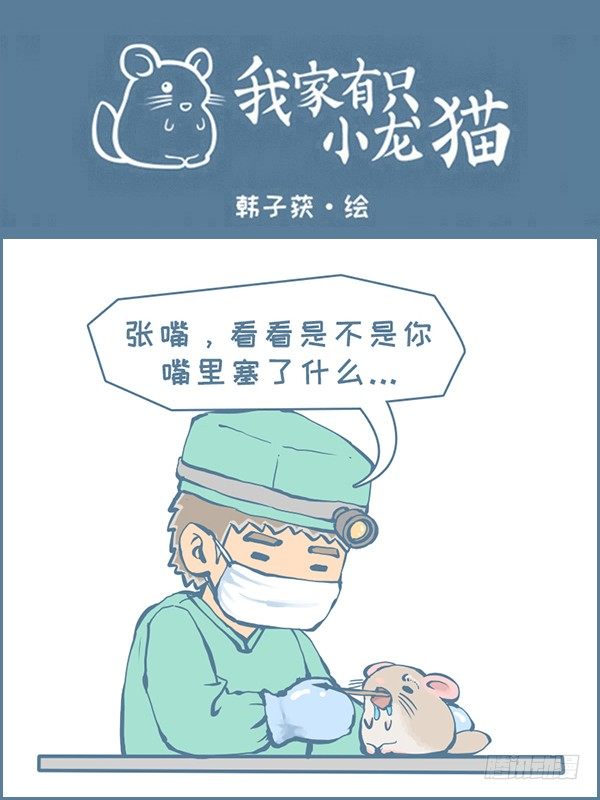 真实的龙猫友故事—菟丝丝（下）0