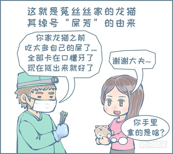 真实的龙猫友故事—菟丝丝（下）3