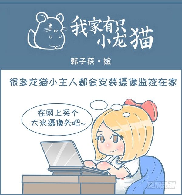 龙猫监控摄像头（1）0