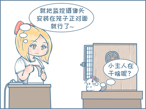 龙猫监控摄像头（1）2