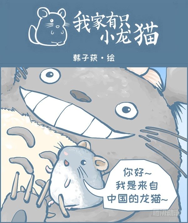 当龙猫遇见龙猫0