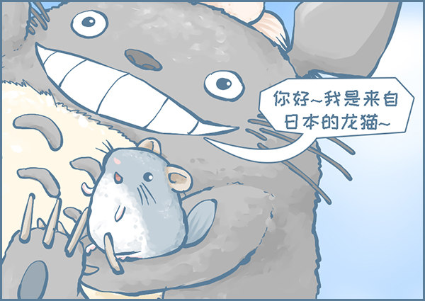 当龙猫遇见龙猫1