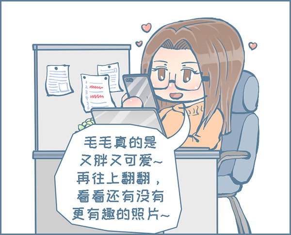 龙猫毛毛的有趣照片（下）3