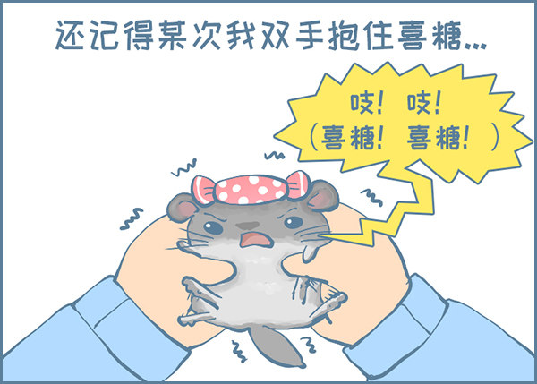 喜糖的特点（下）2