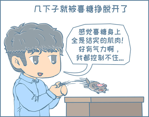 喜糖的特点（下）3